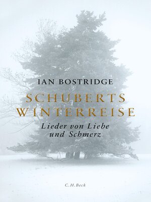 cover image of Schuberts Winterreise